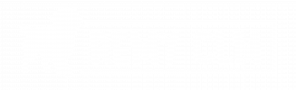Remy CLM