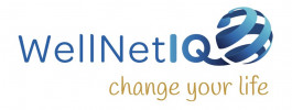 WellNetIQ Digital IT Services