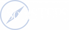 SoulSTEPS Internal Roadmap